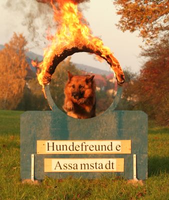 Feuerreifen